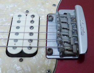 トレモロスプリングレビュー（ノンフローティング）